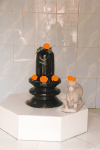 Shiva Lingam Dhakeshwari National