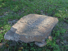 Altar Glyph Altun Ha