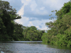 Waterway Lake Tarapoto Black