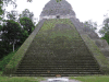 Tikal