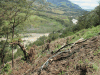 Deforestation Along Baliem River