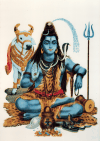 Lord Shiva Destroyer