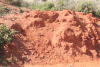 Termite Mound