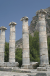 Close-up View Ionic Columns